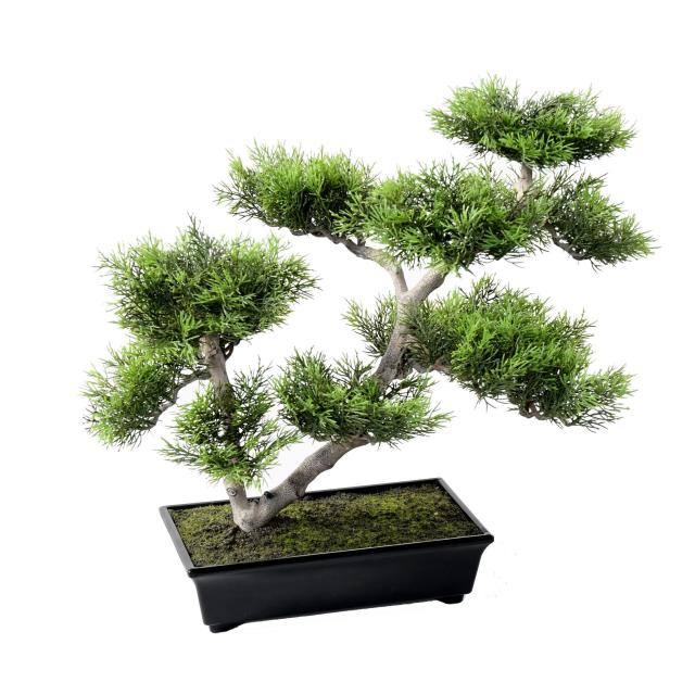 Pin Bonsai Artificiel 42 - Bonsais Artificiels