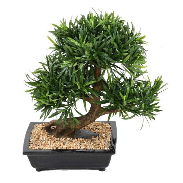 Bonsaï Artificiel Podocarpus en Coupe - Bonsais Artificiels
