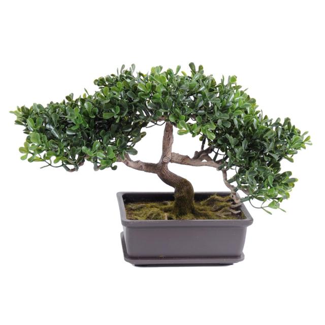 Bonsai Artificiel Thé Mini 22 cm - Bonsais Artificiels