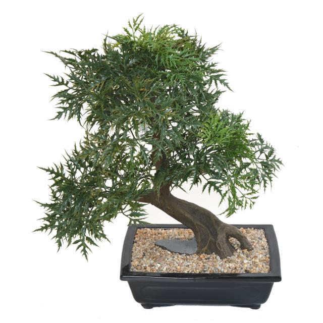 BONSAI Artificiel ARALIA EN COUPE