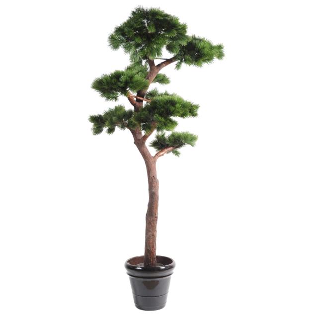 Pin Artificiel Bonsai UV - Pins et Sapins Artificiels