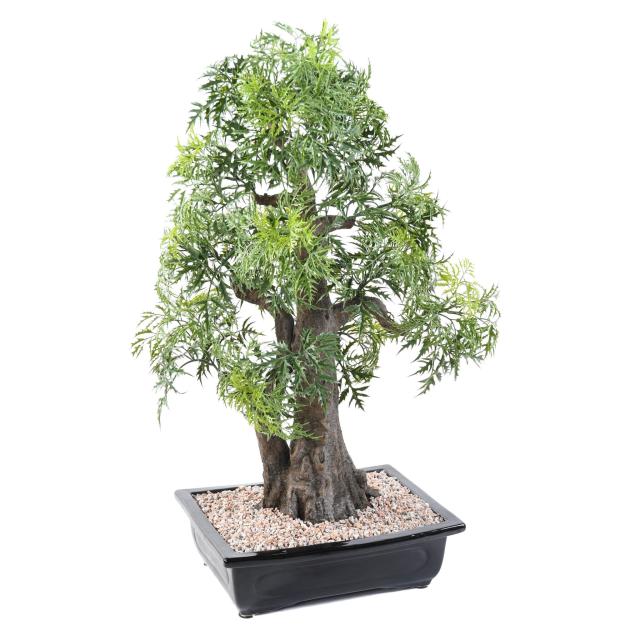 Bonsai Artificiel Aralia en Coupe - Bonsais Artificiels